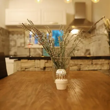 Anchi Holliday House Villa Zadar