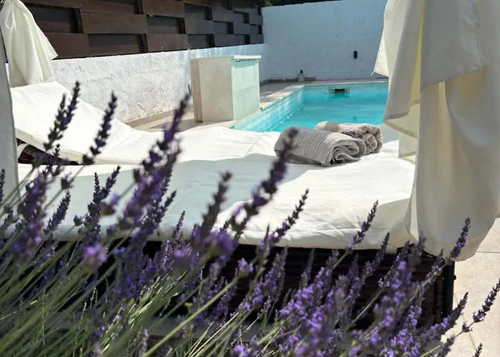 Anchi * Ζαντάρ